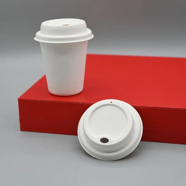 Bagasse Lid